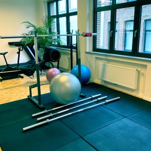 matériel sport taurus poids ballon salle sport Bruxelles 1000 BA:CK